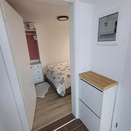 Around Vineyard Apartment Koper